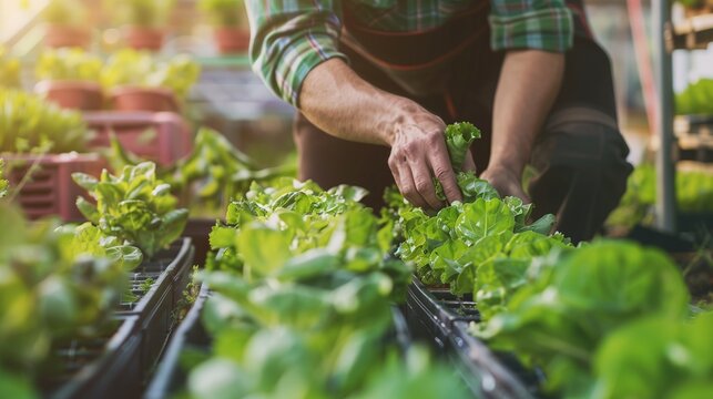 What Top-Performing Food Plants Do Differently